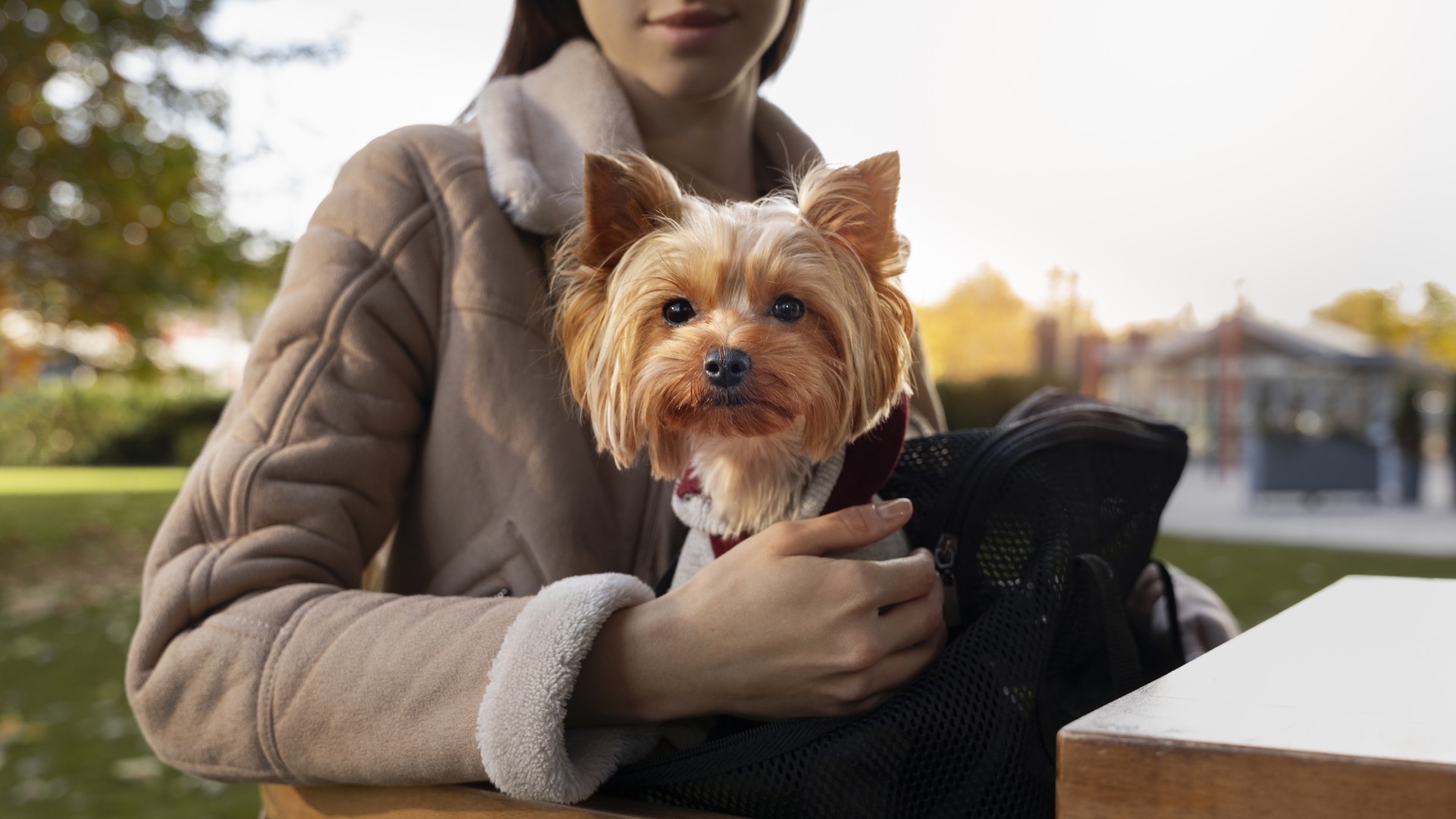 About Integrative Animal Health Center Vet In Bolton, MA